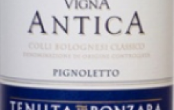 Vigna-Antica-2011.jpg