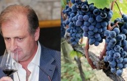 Vigna Pedale, un’altra idea di Puglia in rosso (1)