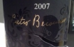 Vigna-alle-Nicchie-Tempranillo-2007.jpg