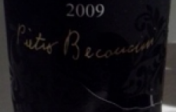 Vigna-alle-Nicchie-Tempranillo-2009.jpg