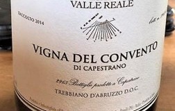 Vigna-del-Convento-di-Capestrano-2014.jpg