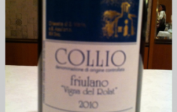 Vigna-del-Rolat-2010.jpg