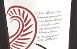 Vigne del Patrimonio Lazio Vepre 2017