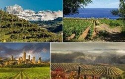 Vigneti italiani zone diverse