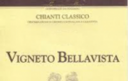 Vigneto-Bellavista-2011.jpg