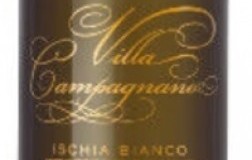 Villa Campagnano Ischia Bianco Superiore doc cantine antonio mazzella