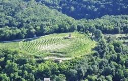 Villa Saletta Vigna Torrino