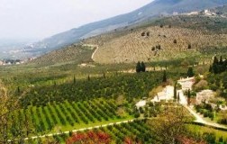 villa della genga le terre di poreta olio extravergine d'oliva biologico frantoio castello panorama