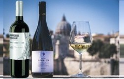 Vinea Domini Roma Bianco Marcella Giuliani Passeria del Frusinate