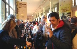 Vini ad Arte 2016: cronaca di un successo