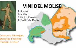 Concorso Enologico Macchia d’Isernia Premio Ercole