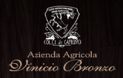 Vinicio Bronzo logo