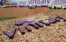 Vinitaly 2021 cancellato