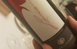 Vino-cotto-Livia.jpg