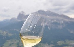 VinoVip Cortina, manifestazione d’alta quota