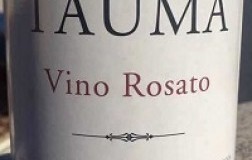Pettinella Vino Tauma L.GFSGB 2019