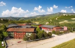 Vite Colte Alta Langa panoramica esterno