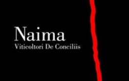 Viticoltori De Conciliis paestum naima etichetta