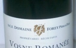 Vosne Romanée 1er Cru Les Gaudichots 2009 Domaine Forey