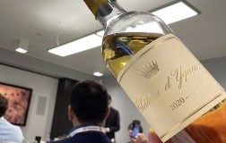 Yquem 2020