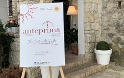 Anteprima Colline Teramane