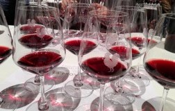 Rinviata a maggio 2021 la settimana delle Anteprime di Toscana