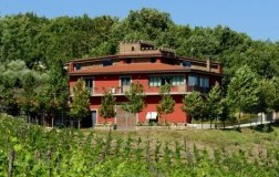 antico castello taurasi vino rosso campania cantina 