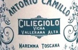 antonio camillo maremma toscana ciliegiolo vigna vallerana alta