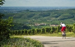 Soave Custoza apertura