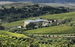 Baglio di Pianetto Cantina