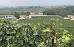 bertani azienda panorama