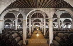 Bodega Lustau Spagna