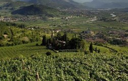 Bossi Fedrigotti Tenuta