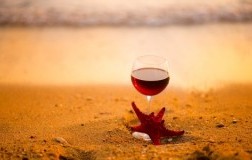 Buon ferragosto 2019 da DoctorWine
