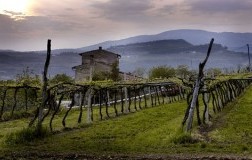Campolongo di Torbe, la luce scura della Valle di Negrar (2)