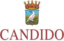 Candido vini Puglia logo