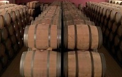 cantina con barrique