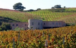 gabbas cantina vini lillovè cannonau di sardegna vino rosso vigneti