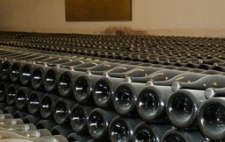 cantina Francesco Bellei bottiglie