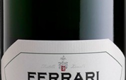 Cantine Ferrari Trentodoc Perlé Zero