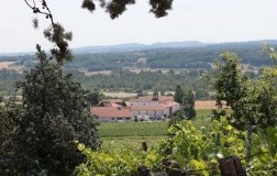 Cantine Romagnoli di Villò