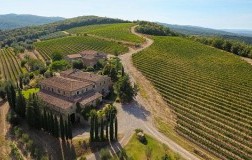 Capanna Montalcino Cantina vini Toscana Vigneti panorama