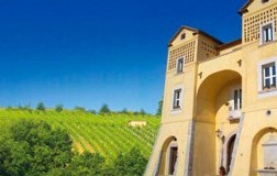 Le nobili tradizioni di Capolino Perlingieri: l'aglianico Brizio