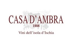 Casa d'Ambra logo