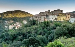 castagneto carducci, livorno, spiga verde