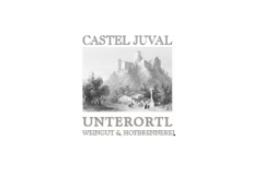 castel juval unterortl cantina vini alto adige logo doctorwine