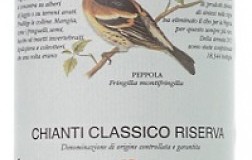 castellare di castellina chianti classico riserva vino rosso toscana