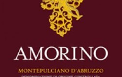 castorani montepulciano d'abruzzo amorino
