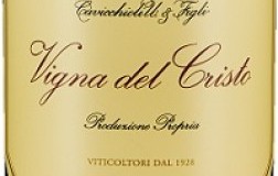 Cavicchioli Sorbara Vigna del Cristo 2020