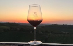 Centesimino sulla torre di oriolo